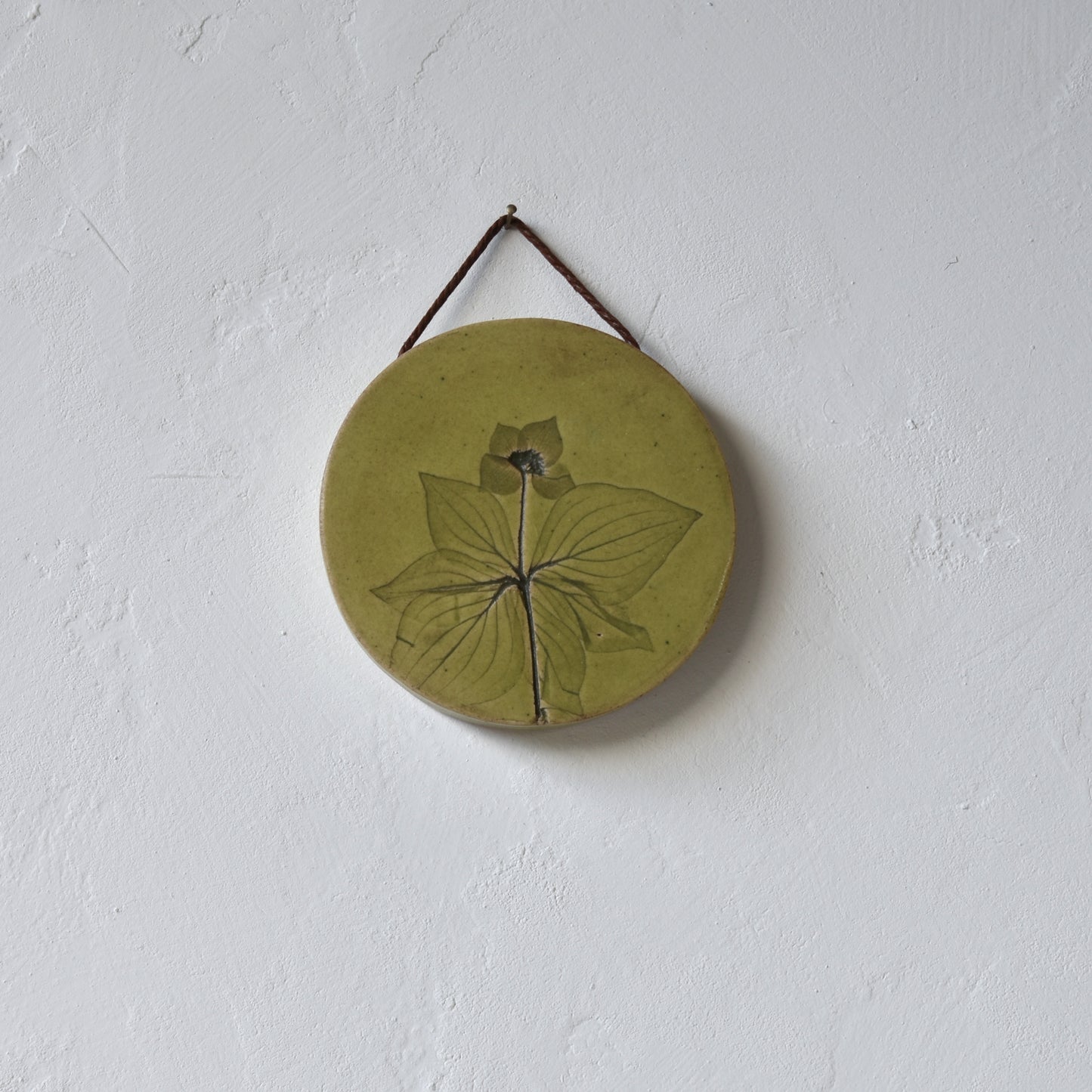 4" Bunchberry Wall Hanging in Moss