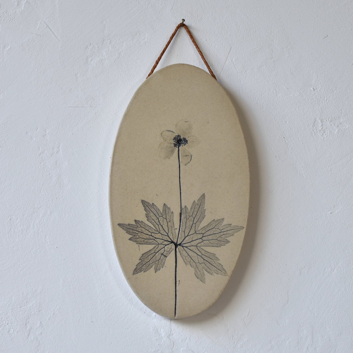 7.75" Anemone Wall Hanging in White