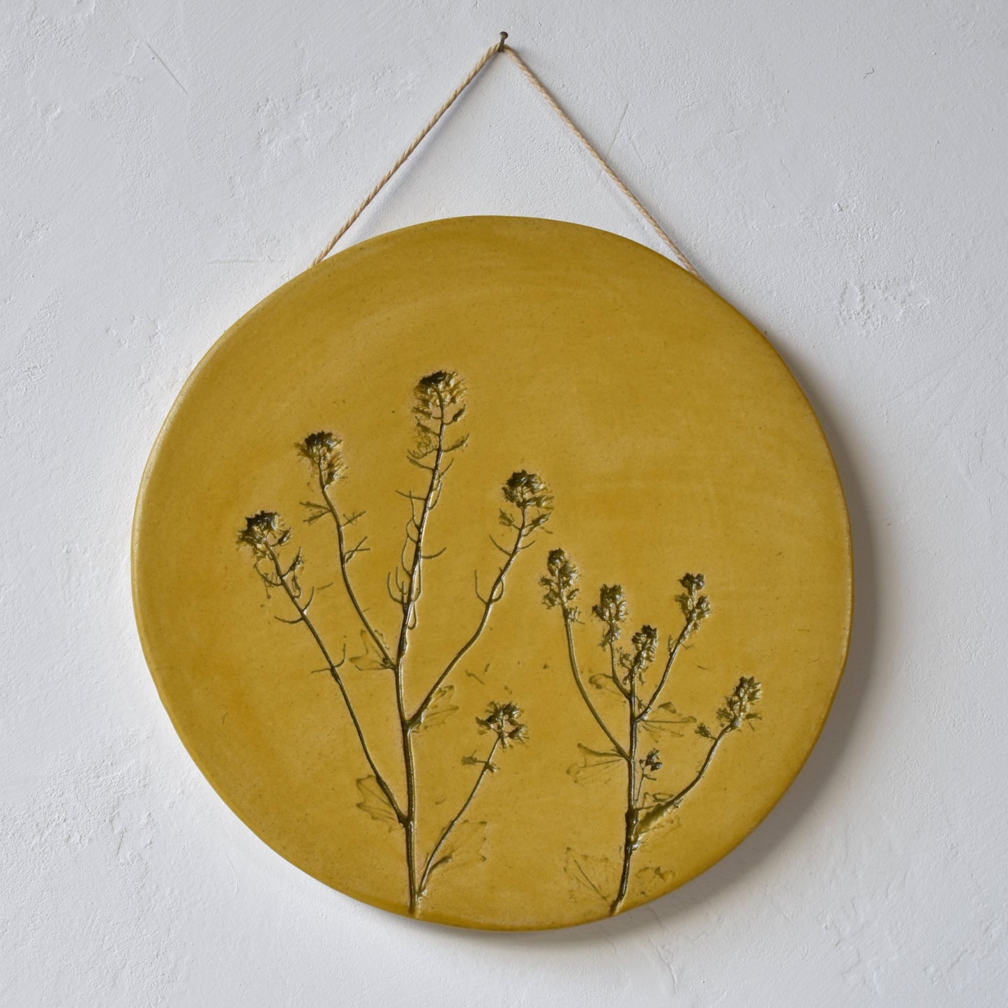 8.5" Rocketcress Wall Hanging in Yellow