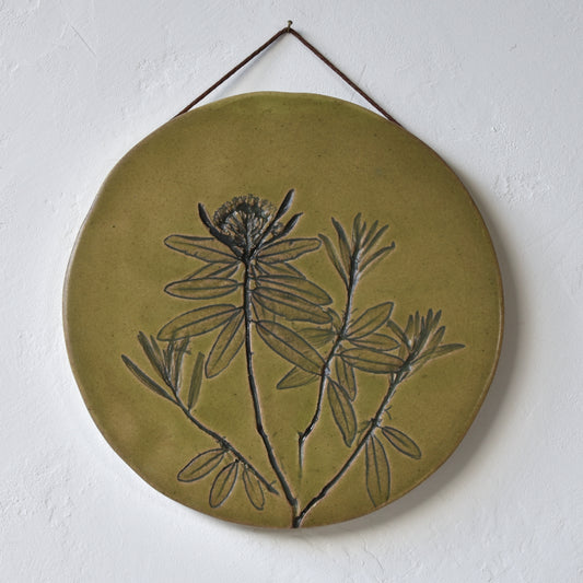 8.5" Labrador Tea Wall Hanging in Moss
